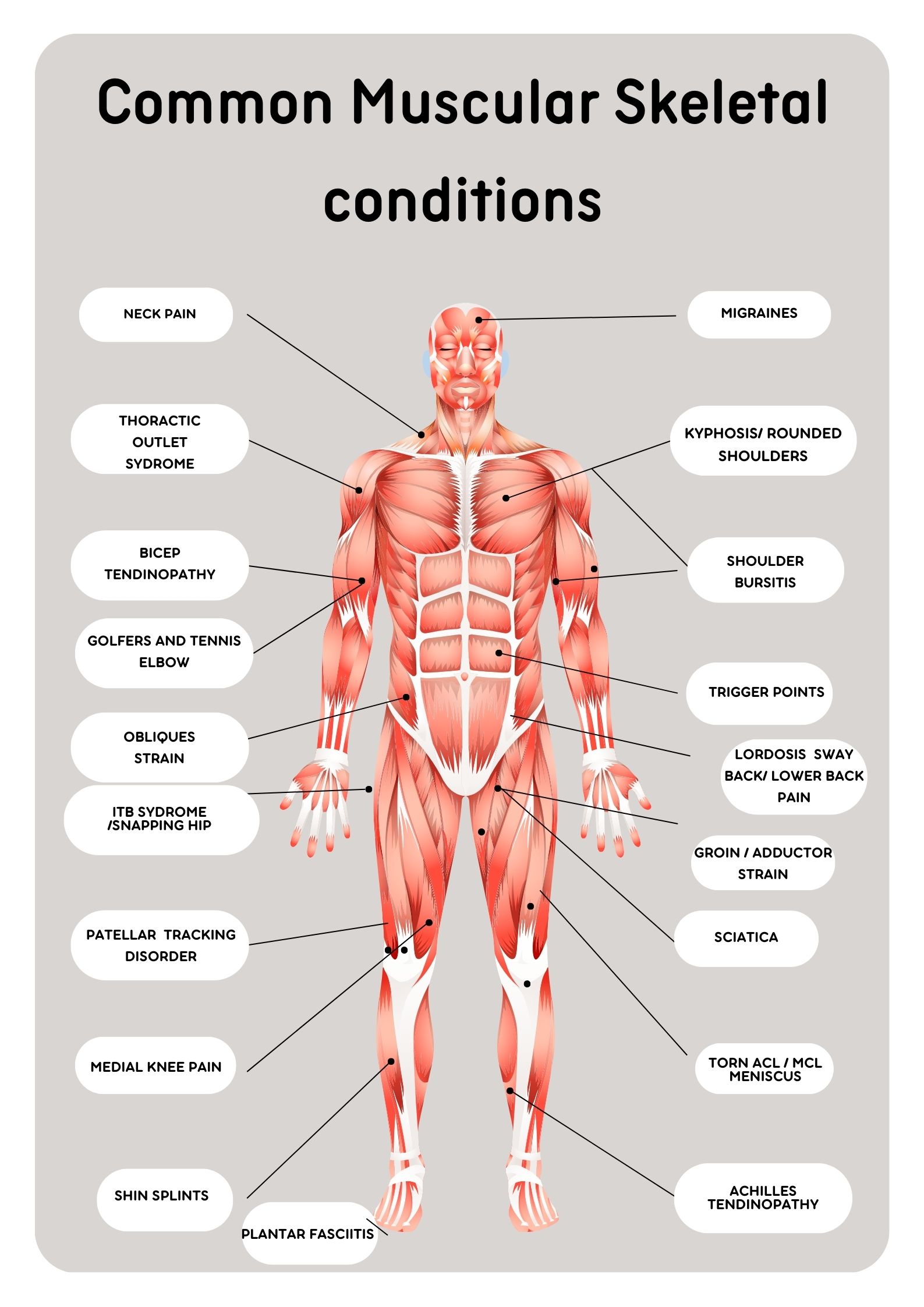 Common Muscular Injuries Common Muscular Skeletal Conditions - Revive Your Body